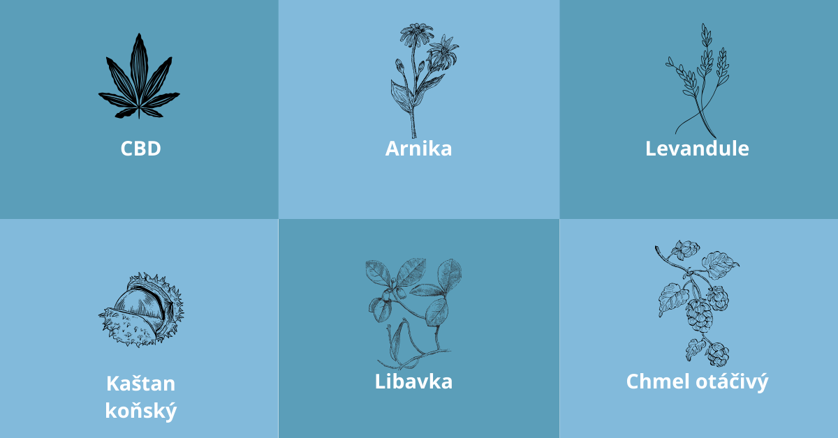 Advisio_1200 x 628_Meta  (1)